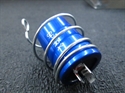 Picture of CAPACITOR, REPRODUCTION