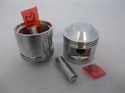 Picture of PISTON, 100, TRI, 650, REPO