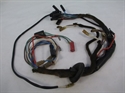 Picture of HARNESS, H/LITE, T100, 71-74