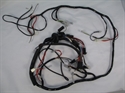 Picture of HARNESS, MAIN, T100, 71-4, RE