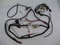 Picture of HARNESS, MAIN, 1973, X75