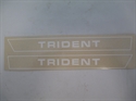 Picture of DECAL, TRIDENT, 70-71, WHITE