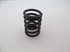 Picture of SPRING, VLV, OUTER, T100 UNI
