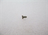 Picture of SCREW, SELF TAP