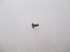 Picture of SCREW, SELF TAP